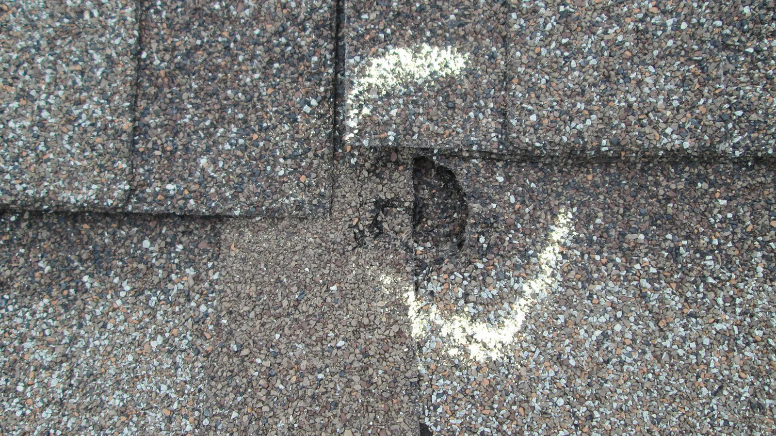 Shingles showing granule loss and a hail impact circled in chalk